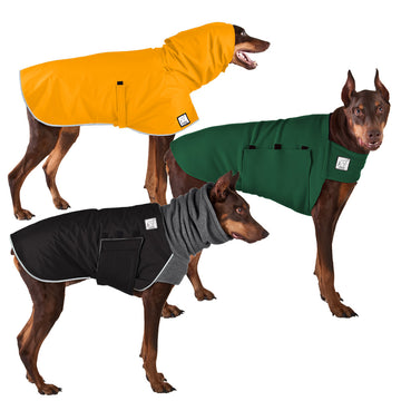 Doberman pinscher apparel hotsell