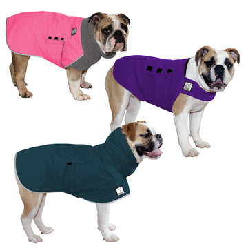 English Bulldog All Weather Combo - Voyagers K9 Apparel Dog Gear