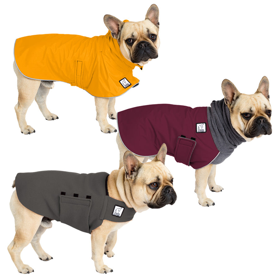 French Bulldog All Weather Combo - Voyagers K9 Apparel Dog Gear