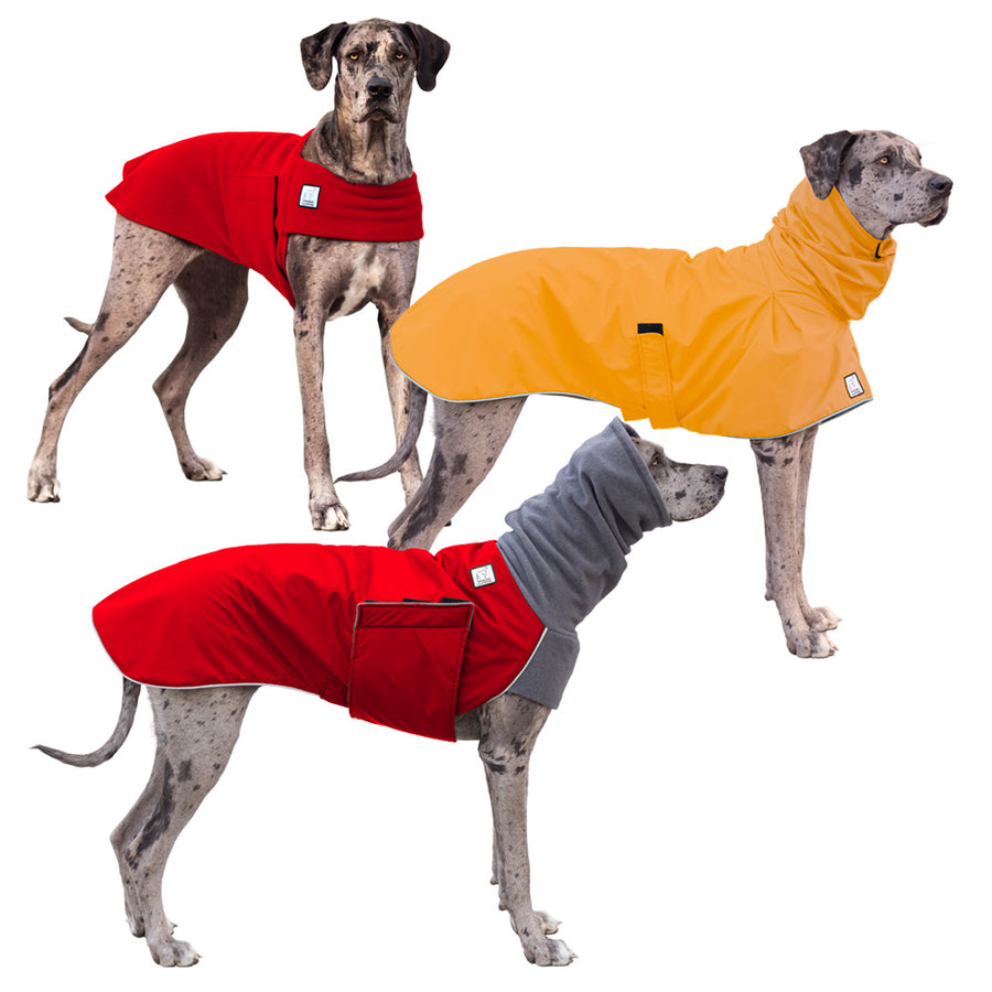 Great Dane All Weather Combo - Voyagers K9 Apparel Dog Gear