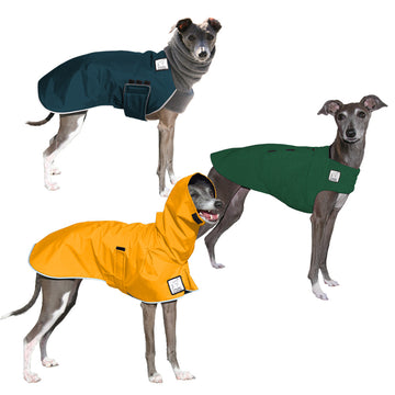 Italian Greyhound Adventurer Bundle