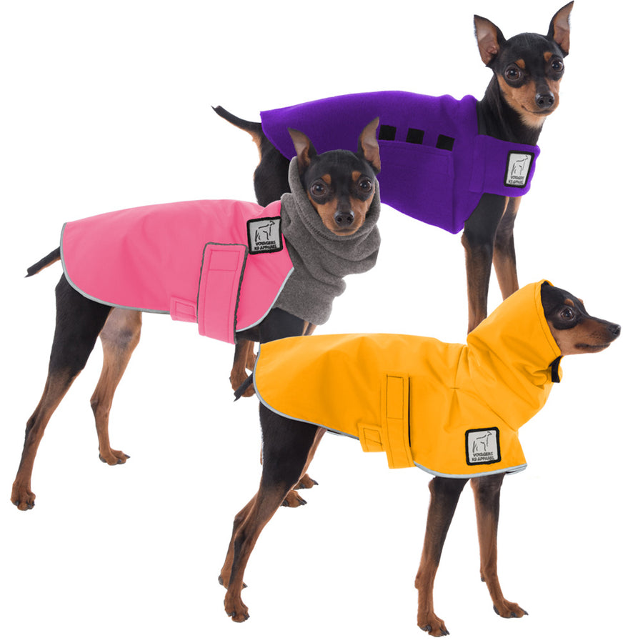 Miniature Pinscher All Weather Combo - Voyagers K9 Apparel Dog Gear