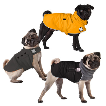 Pug All Weather Combo - Voyagers K9 Apparel Dog Gear