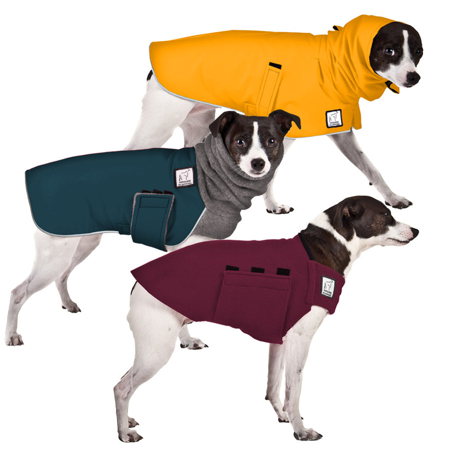 Rat Terrier All Weather Combo - Voyagers K9 Apparel Dog Gear