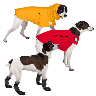 Rat Terrier Winter Coat | Voyagers K9 Apparel