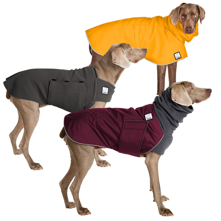 Weimaraner All Weather Combo - Voyagers K9 Apparel Dog Gear