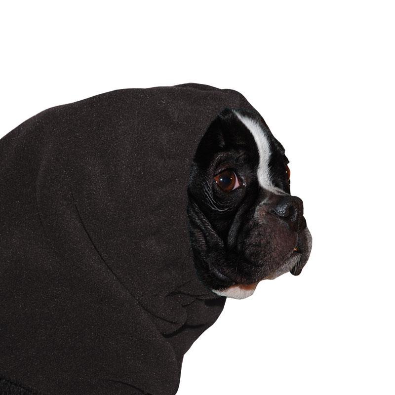 Boston Terrier Hood - Voyagers K9 Apparel
