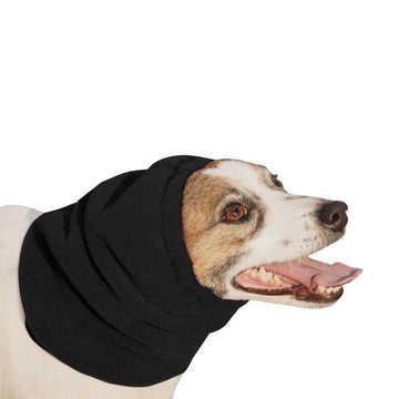 Jack Russell Terrier Hood - Voyagers K9 Apparel