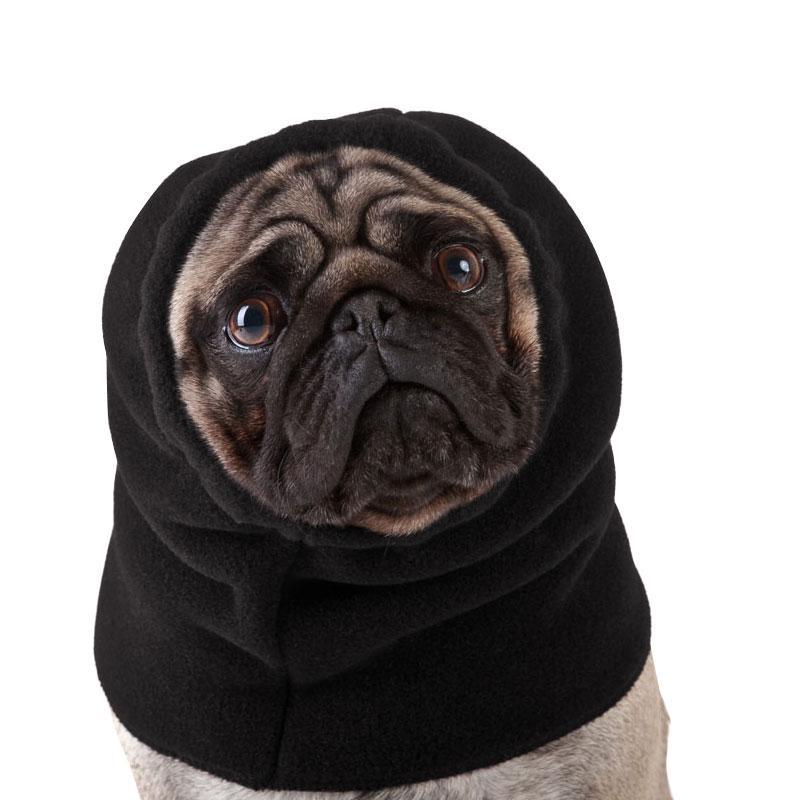 Pug Hood - Voyagers K9 Apparel
