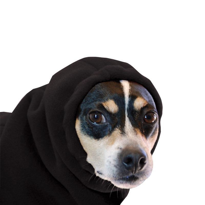 Rat Terrier Hood - Voyagers K9 Apparel