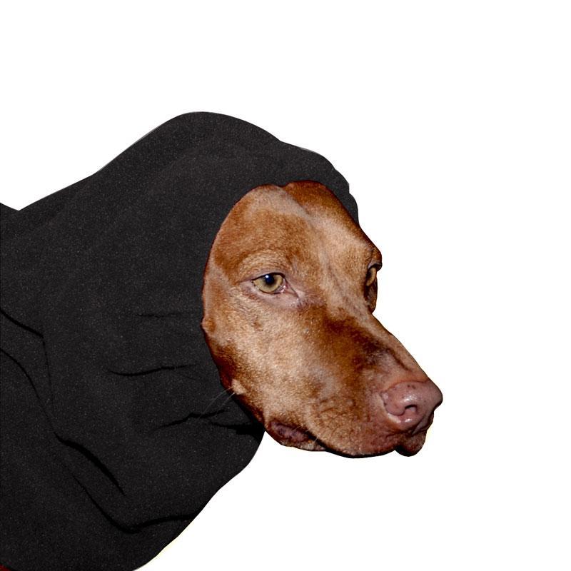 Vizsla Hood - Voyagers K9 Apparel