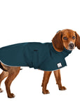 Beagle Rain Coat (Dark Teal) - Voyagers K9 Apparel
