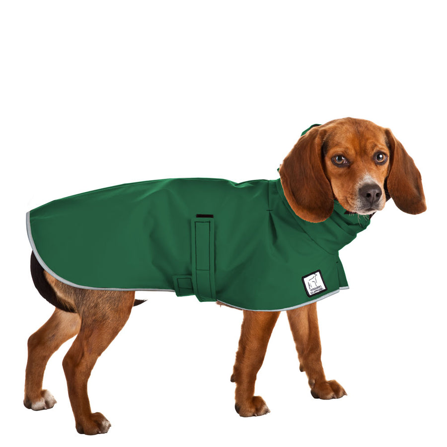 Beagle Raincoat