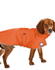 Beagle Rain Coat (Special Order Orange) - Voyagers K9 Apparel