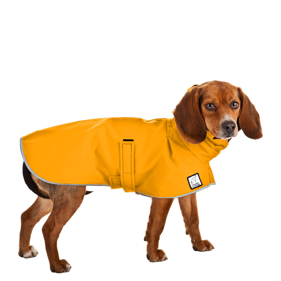Beagle Rain Coat (Yellow) - Voyagers K9 Apparel