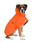 Boxer Rain Coat (Special Order Orange) - Voyagers K9 Apparel