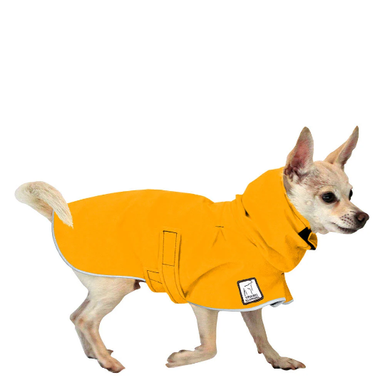 Chihuahua Rain Coat