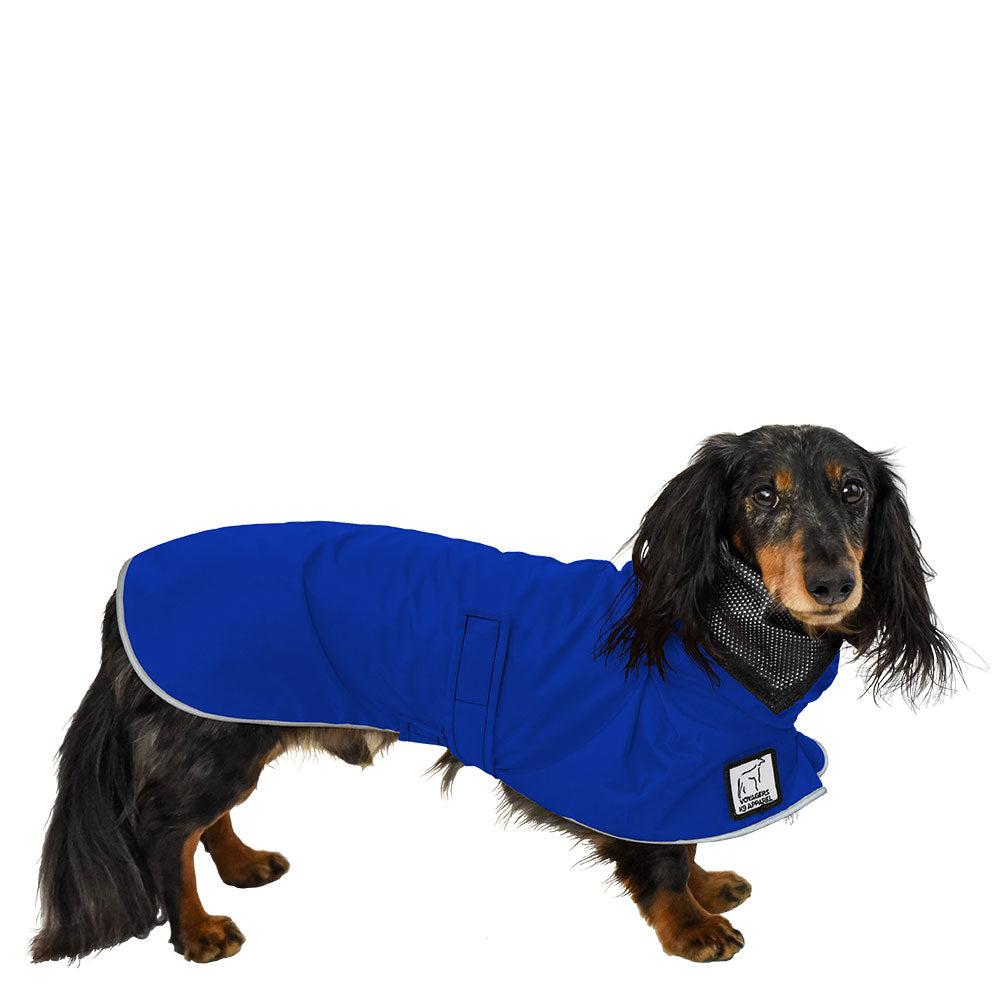 Dachshund Rain Coat (Special Order Blue) - Voyagers K9 Apparel
