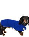 Dachshund Rain Coat (Special Order Blue) - Voyagers K9 Apparel