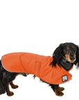 Dachshund Rain Coat (Special Order Orange) - Voyagers K9 Apparel