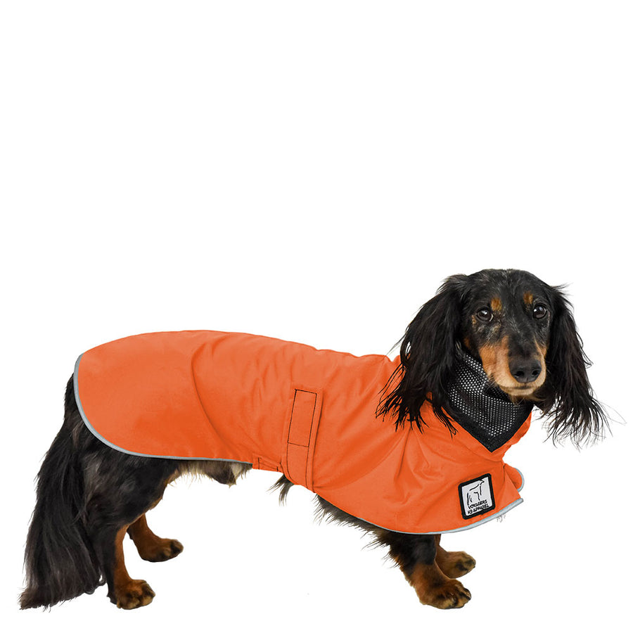 Dachshund Rain Coat (Special Order Orange) - Voyagers K9 Apparel