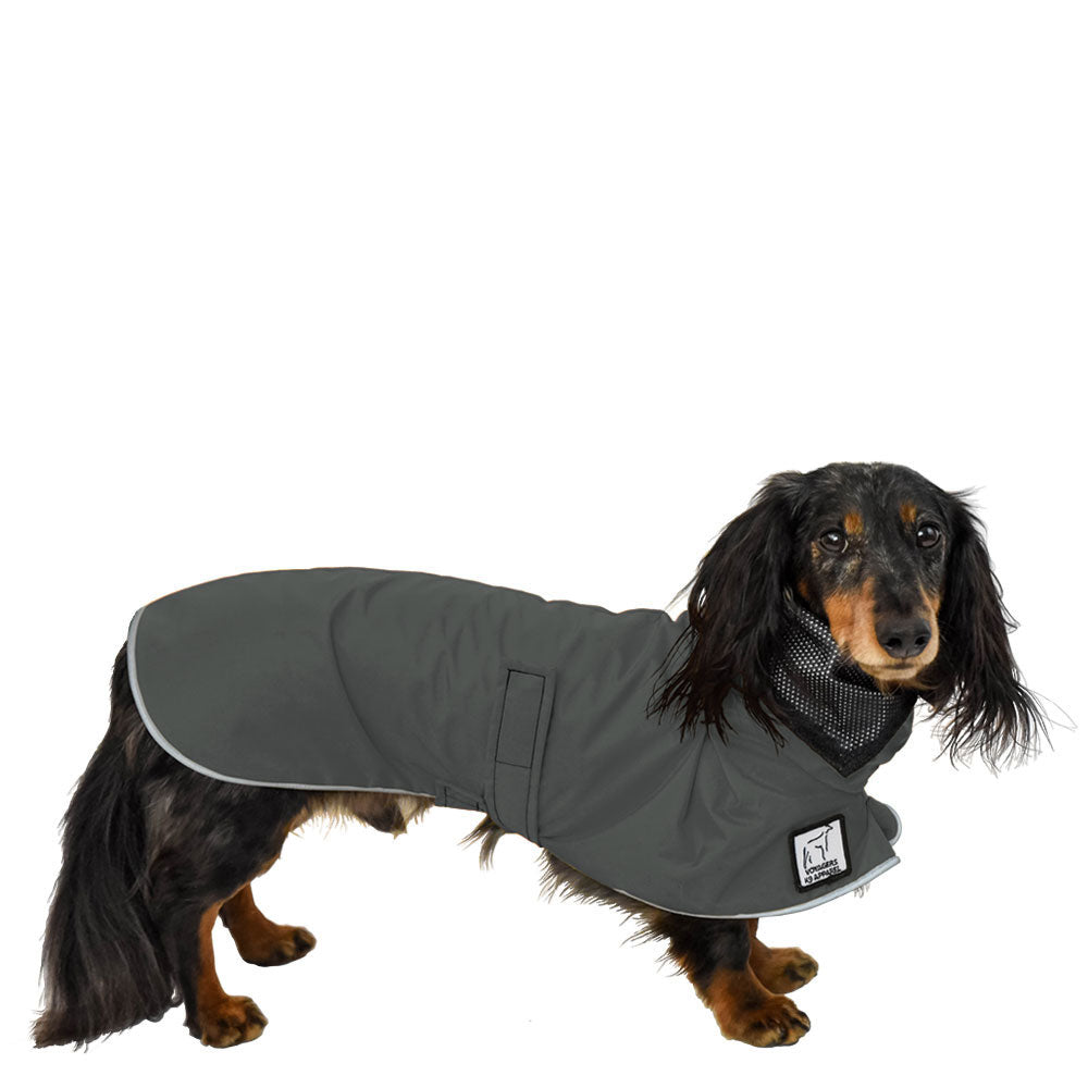 Dachshund Rain Coat (Special Order Smoke) - Voyagers K9 Apparel
