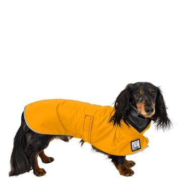 Dachshund Rain Coat (Yellow) - Voyagers K9 Apparel