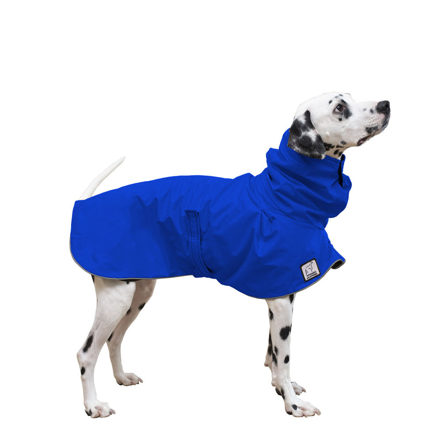 Dalmatian Rain Coat (Special Order Blue) - Voyagers K9 Apparel