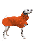 Dalmatian Rain Coat (Special Order Orange) - Voyagers K9 Apparel