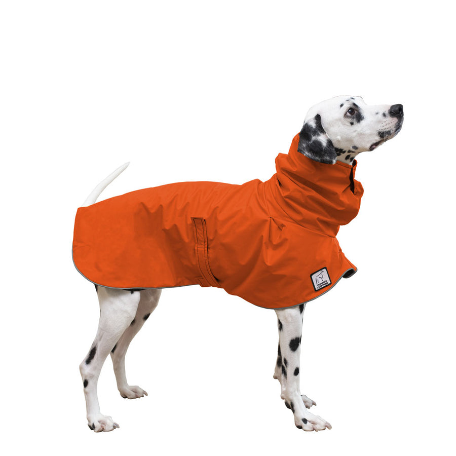 Dalmatian Rain Coat (Special Order Orange) - Voyagers K9 Apparel