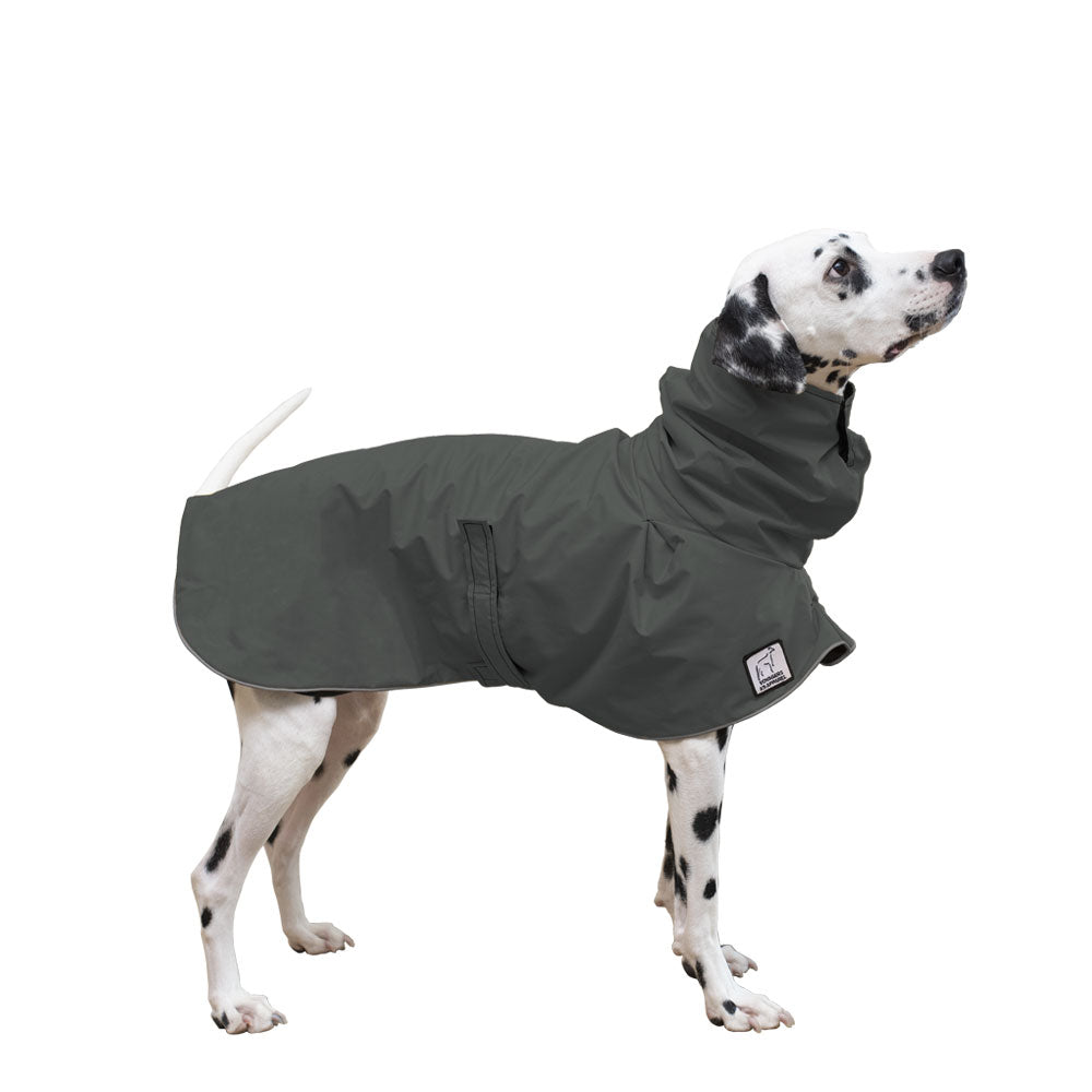 Dalmatian Rain Coat (Special Order Smoke) - Voyagers K9 Apparel