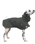 Dalmatian Rain Coat (Special Order Smoke) - Voyagers K9 Apparel