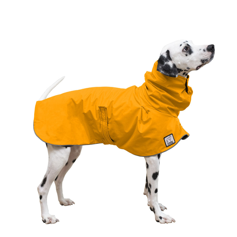 Dalmatian Rain Coat (Yellow) - Voyagers K9 Apparel