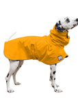 Dalmatian Rain Coat (Yellow) - Voyagers K9 Apparel