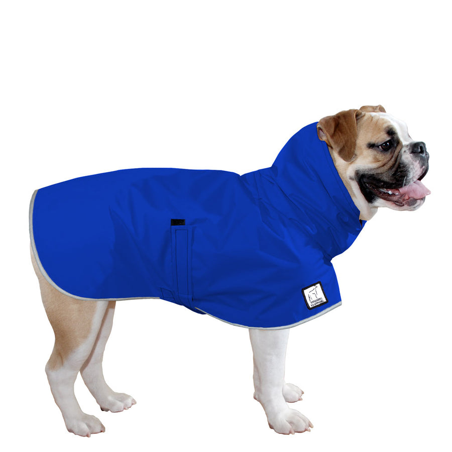 English Bulldog Rain Coat (Special Order Blue) - Voyagers K9 Apparel