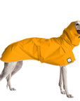 Greyhound Rain Coat (Yellow) - Voyagers K9 Apparel