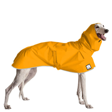 Greyhound Rain Coat (Yellow) - Voyagers K9 Apparel