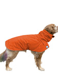 Golden Retriever Rain Coat (Special Order Orange) - Voyagers K9 Apparel