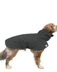 Golden Retriever Rain Coat (Special Order Smoke) - Voyagers K9 Apparel
