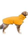 Golden Retriever Rain Coat (Yellow) - Voyagers K9 Apparel Dog Gear