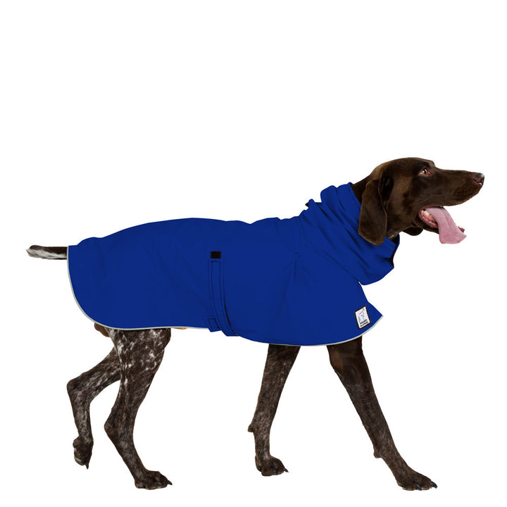German Shorthaired Pointer (Special Order Blue) - Voyagers K9 Apparel