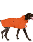 German Shorthaired Pointer (Special Order Orange) - Voyagers K9 Apparel