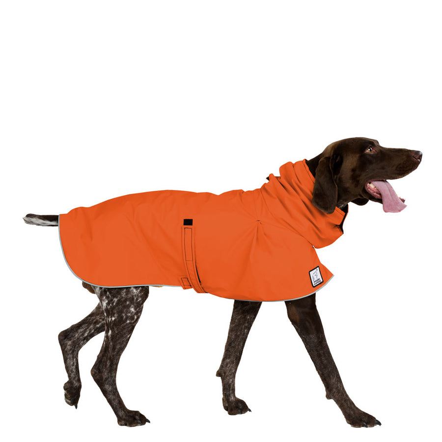 German Shorthaired Pointer (Special Order Orange) - Voyagers K9 Apparel