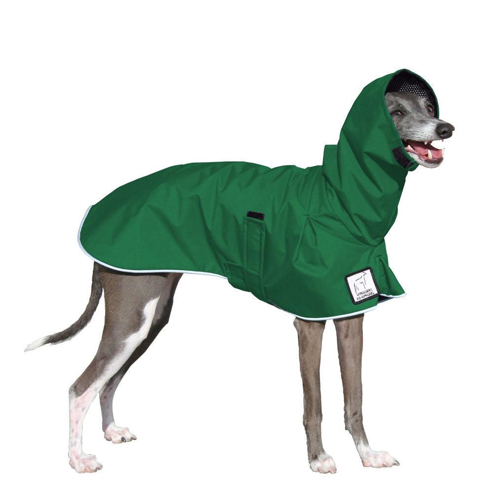 Italian Greyhound Raincoat