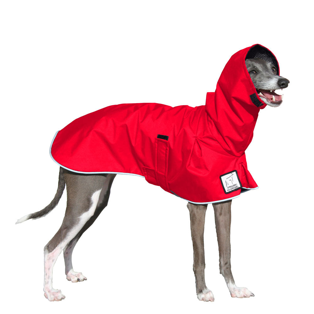 Italian Greyhound Raincoat