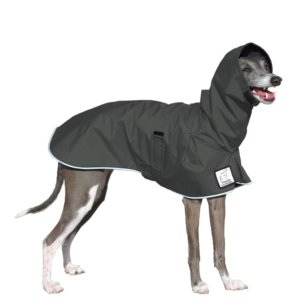 Italian Greyhound Rain Coat (Special Order Smoke) - Voyagers K9 Apparel