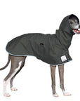 Italian Greyhound Rain Coat (Special Order Smoke) - Voyagers K9 Apparel
