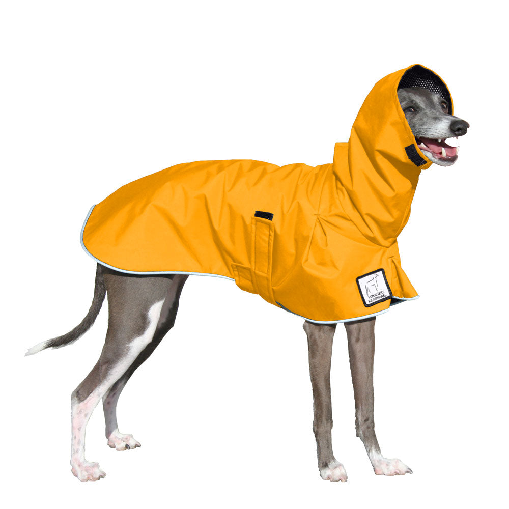 Italian Greyhound Rain Coat (Yellow) - Voyagers K9 Apparel