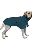 Labrador Retriever Rain Coat (Dark Teal) -Voyagers K9 Apparel