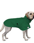 Labrador Retriever Rain Coat